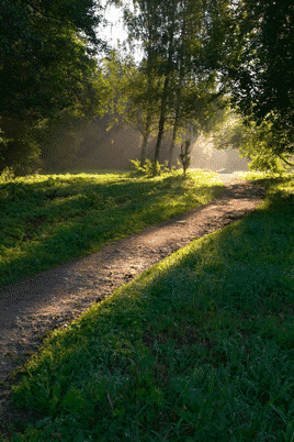 camino